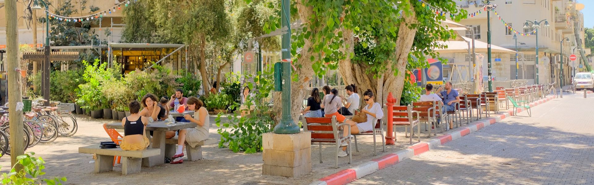 נווה צדק